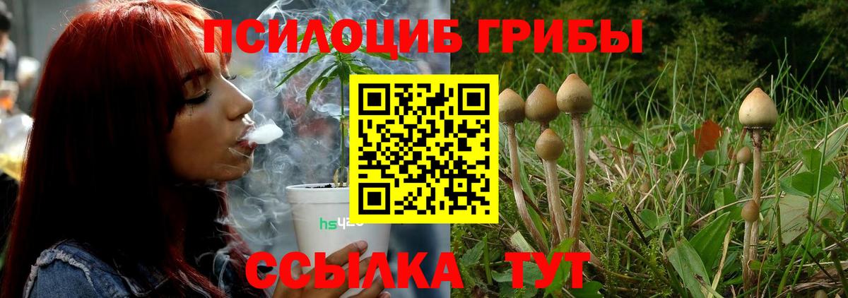 Галлюциногенные грибы Psilocybe  Вход с VPN  Самара 